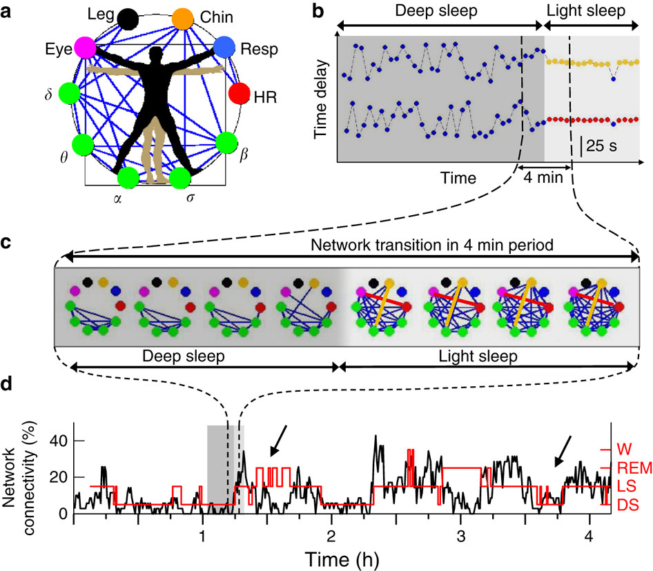 We Consider Human Network Physiology And Medicine - The "Body Electric ...