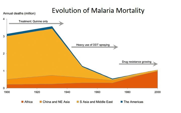 Artemisia And The Dirty Business Of Malaria Pharmaceuticals ...